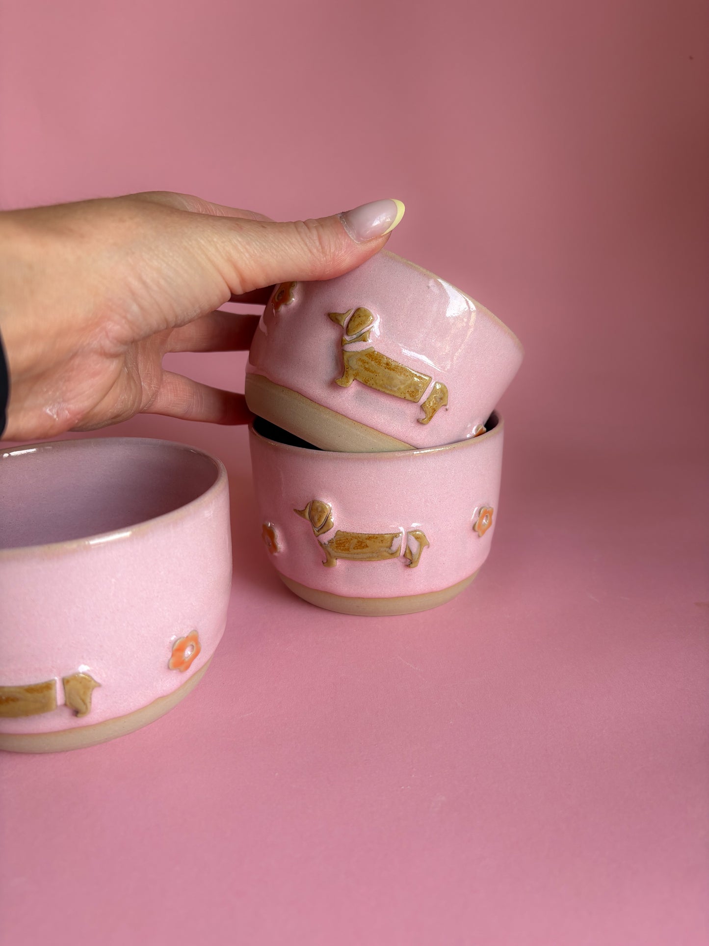 Dackel Cup