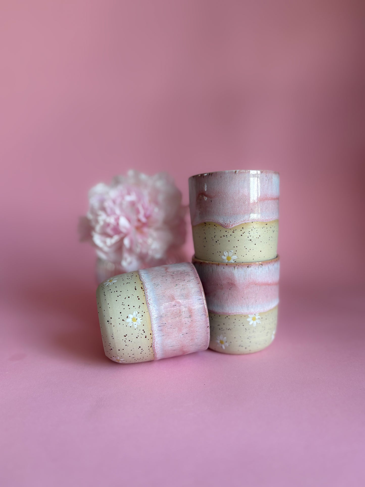 Gänseblümchen Cup Flieder/rosa